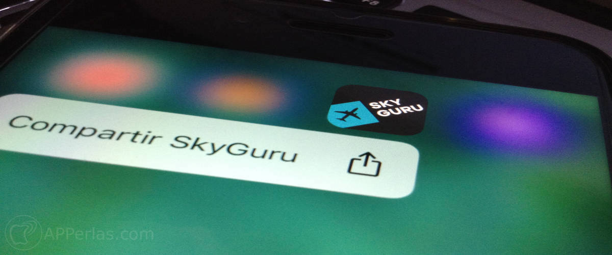 SkyGuru 1 SkyGuru 1