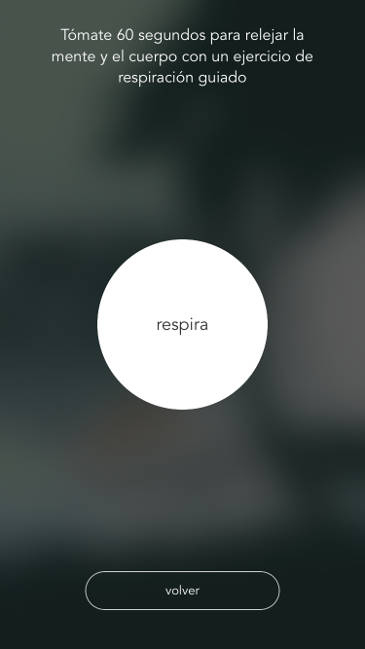 Windfulness 2 2 Windfulness 2 2