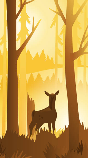 Windfulness 2 3 Windfulness 2 3