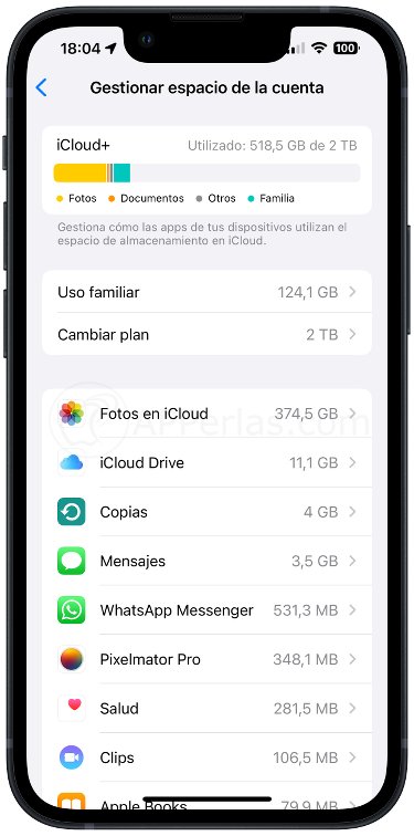 Borra info de apps guardadas en iCloud Borra info de apps guardadas en iCloud