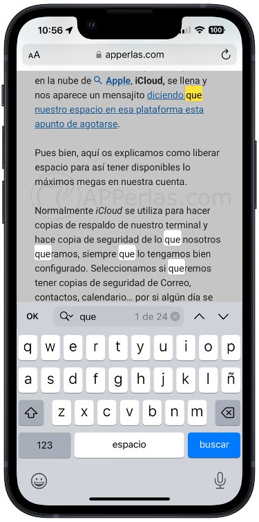 Resultado de búsqueda de palabra en Safari Resultado de búsqueda de palabra en Safari