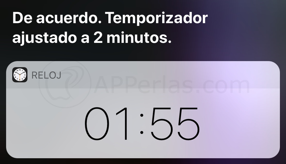poner el temporizador poner el temporizador