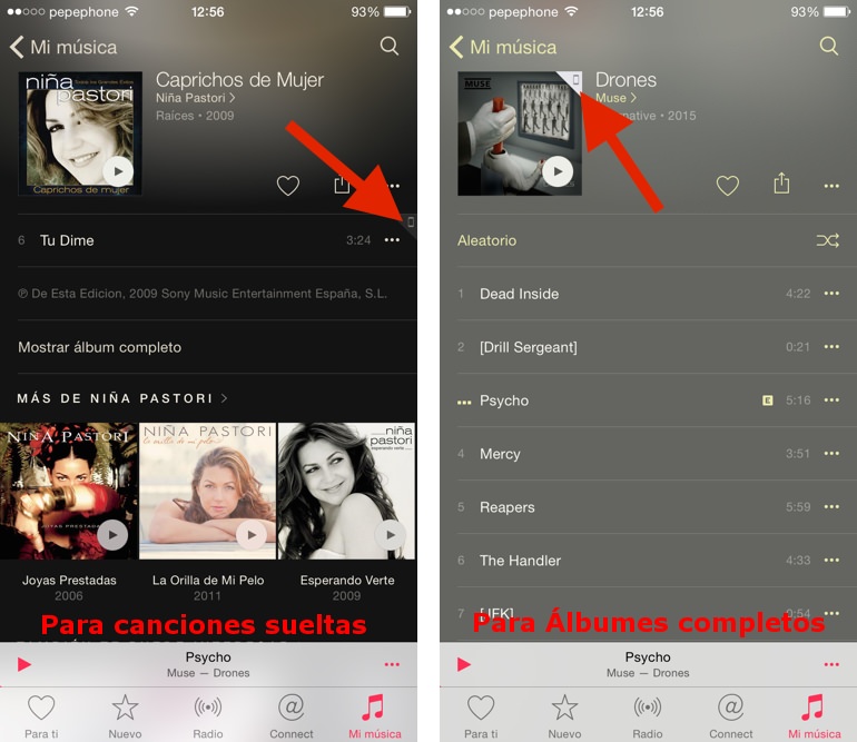 Descargar canciones de apple music en ipad