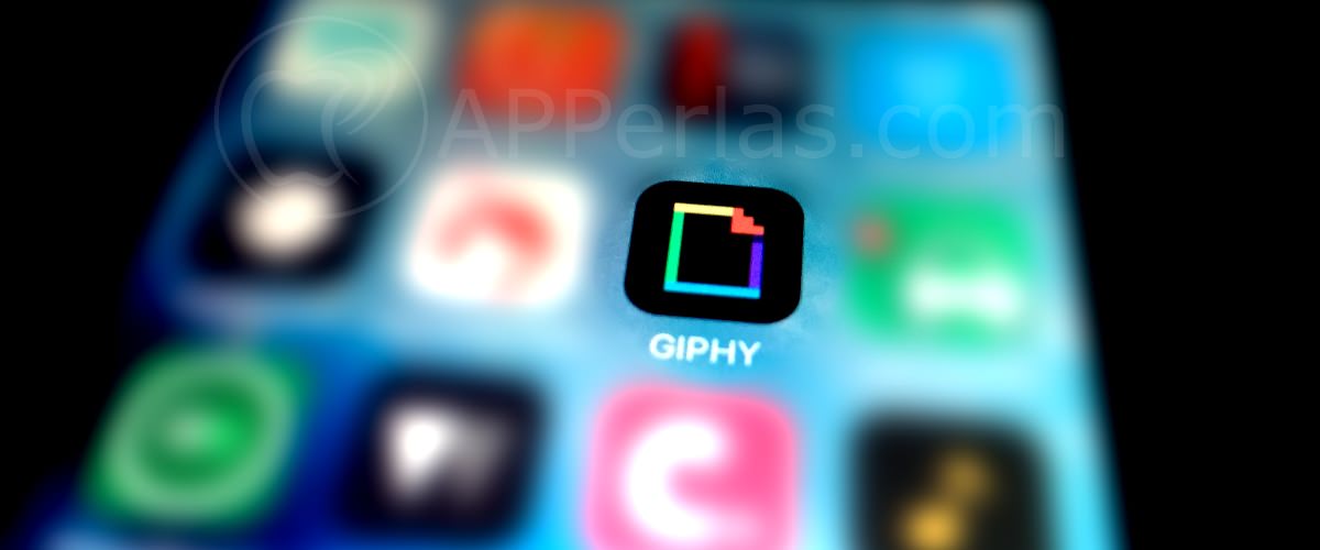 Giphy app de Gif