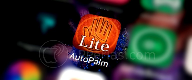 Auto Palmistry