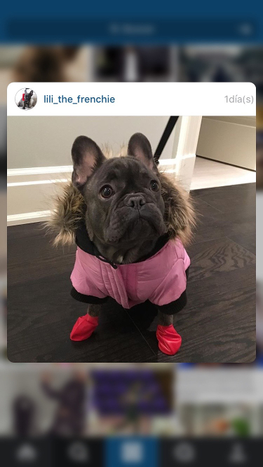 fotos en Instagram 1