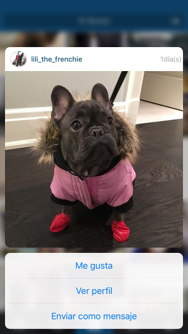 fotos en Instagram 2