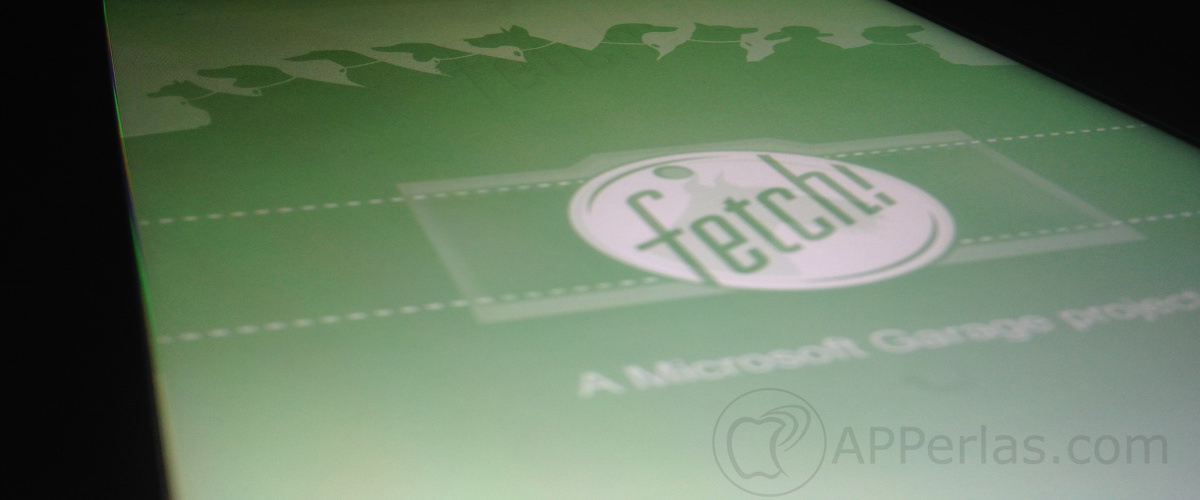Fetch 1