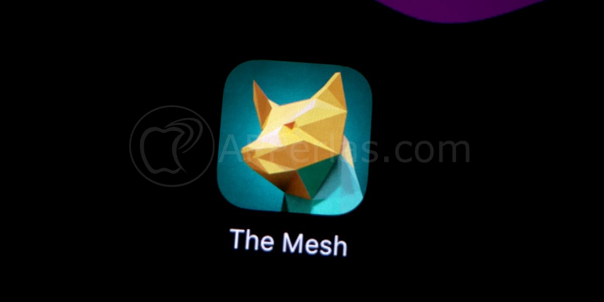 The mesh