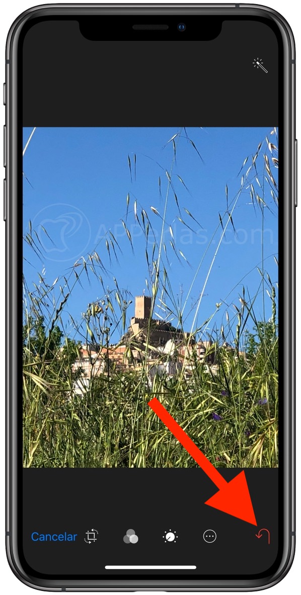 Deseditar una fotografía Deseditar una fotografía