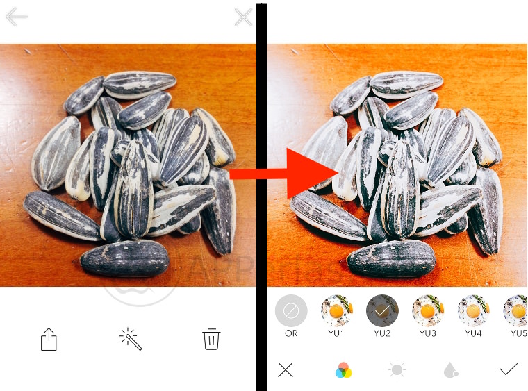 Foodie edición Foodie edición