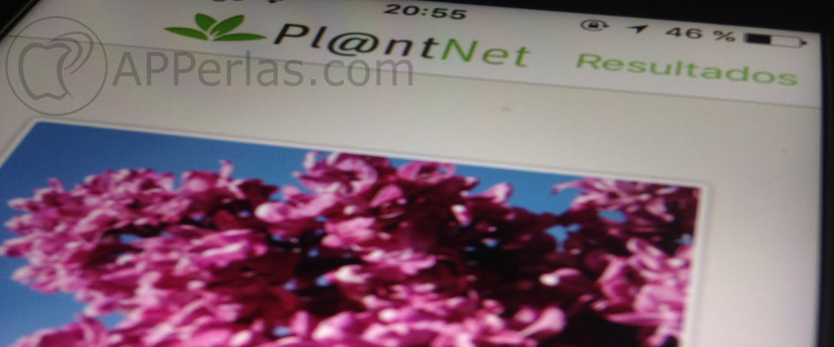 PlantNet 1 PlantNet 1