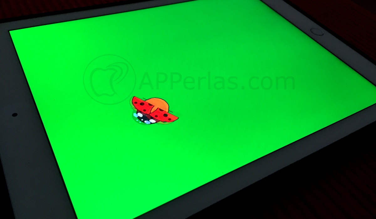 App para bebés Tocar mariquita App para bebés Tocar mariquita