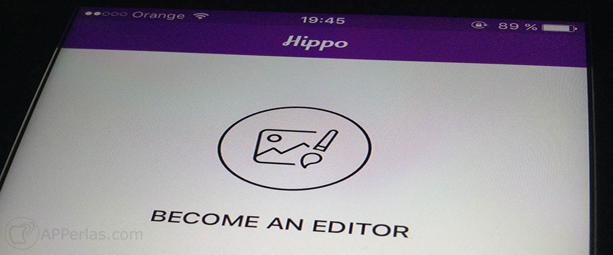 Hippo Pics 1