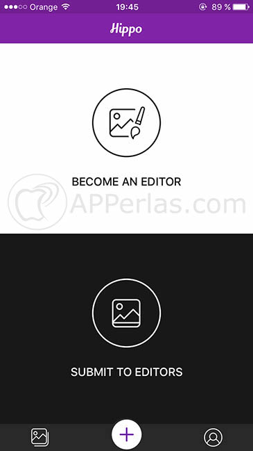 Hippo Pics 2 Hippo Pics 2