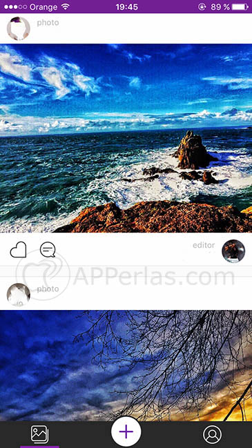 Hippo Pics 3 Hippo Pics 3