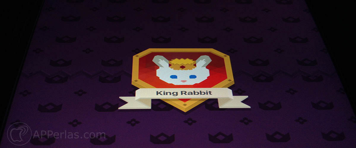 King Rabbit 1 King Rabbit 1