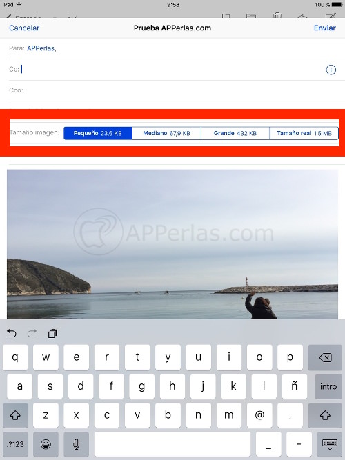 Elige el la opción que desees. Elige el la opción que desees.