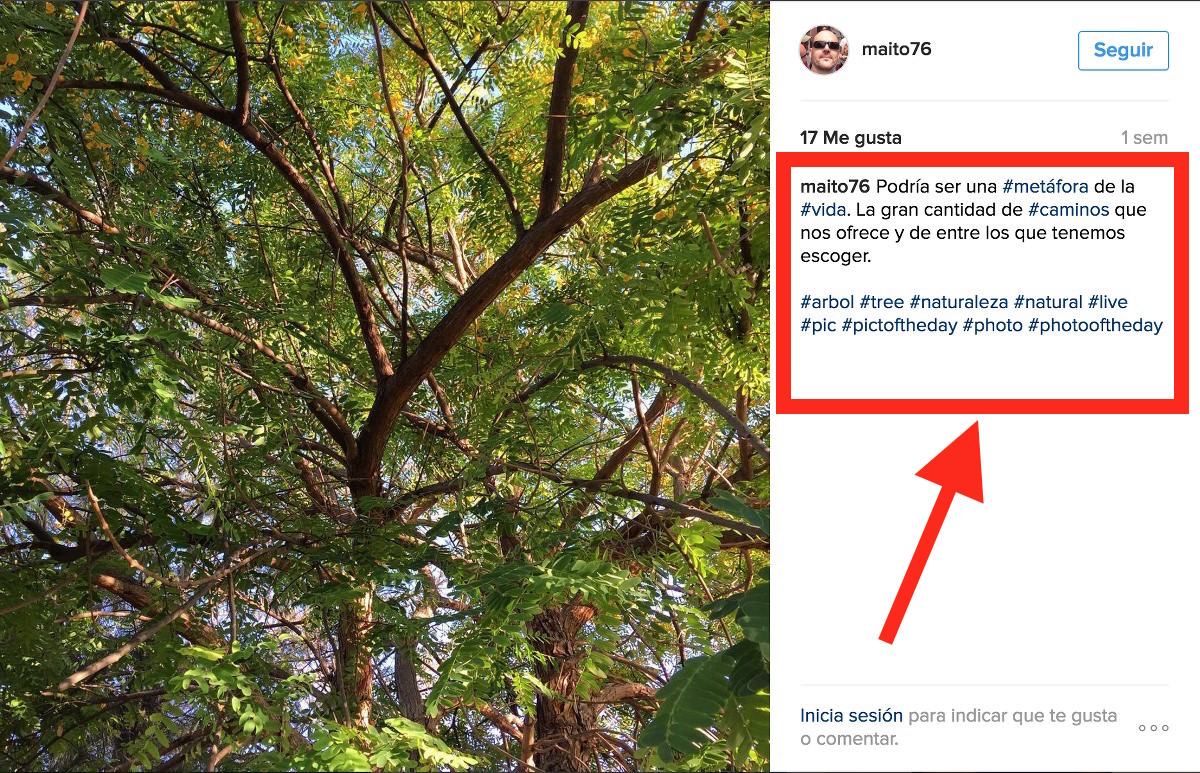 Instagram hashtags 5