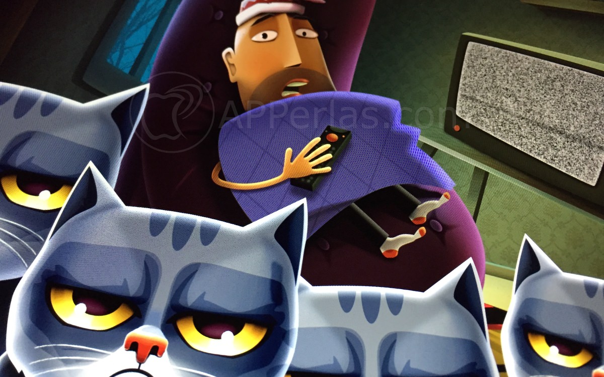 Paco gato enojado Paco gato enojado