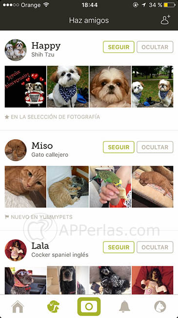 Yummypets 2 Yummypets 2