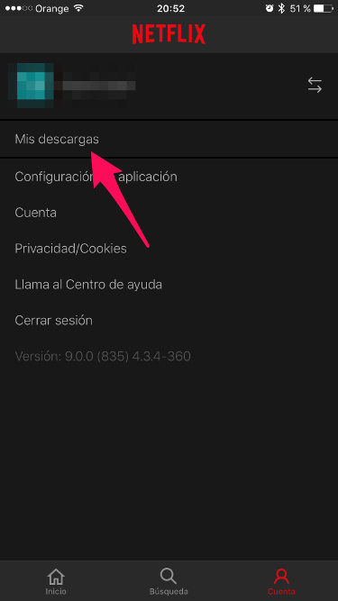 Mis descargas descargar en Netflix 2