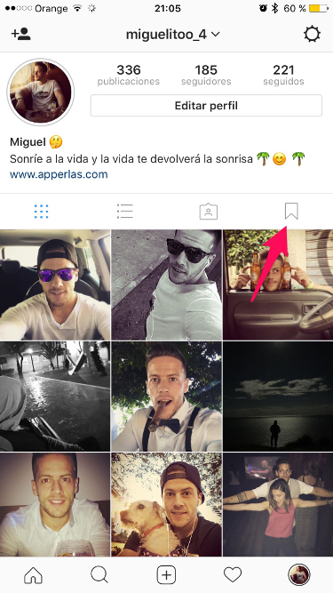 Ver todas las fotos guardar las fotos de Instagram 2