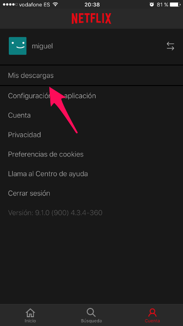 descargas de Netflix 1