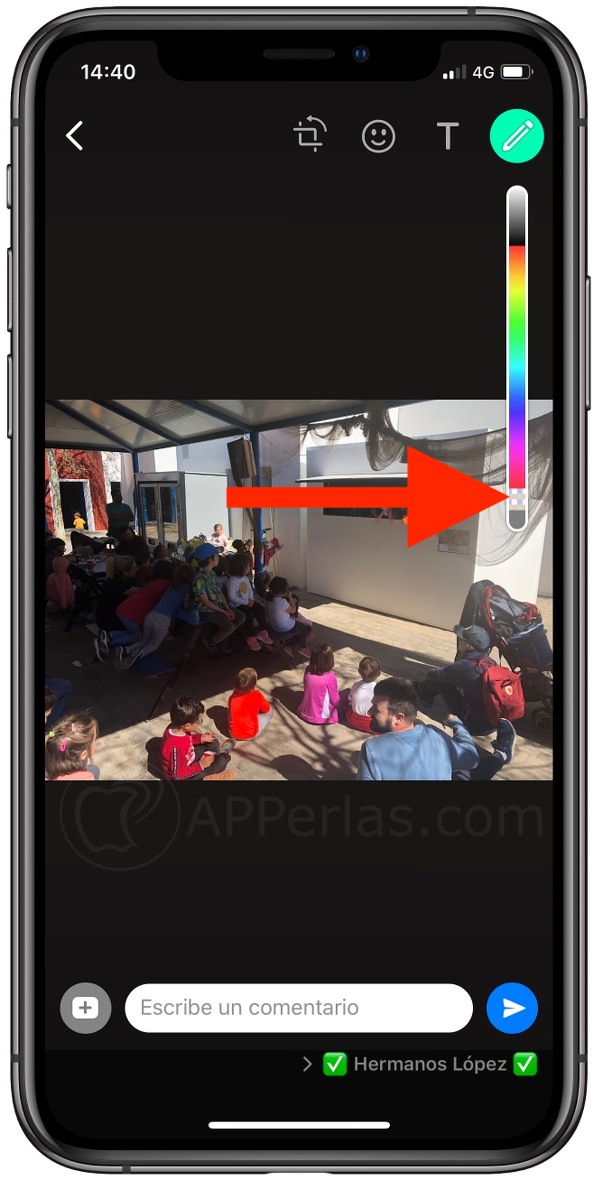 Elige la opción pixelar Elige la opción pixelar
