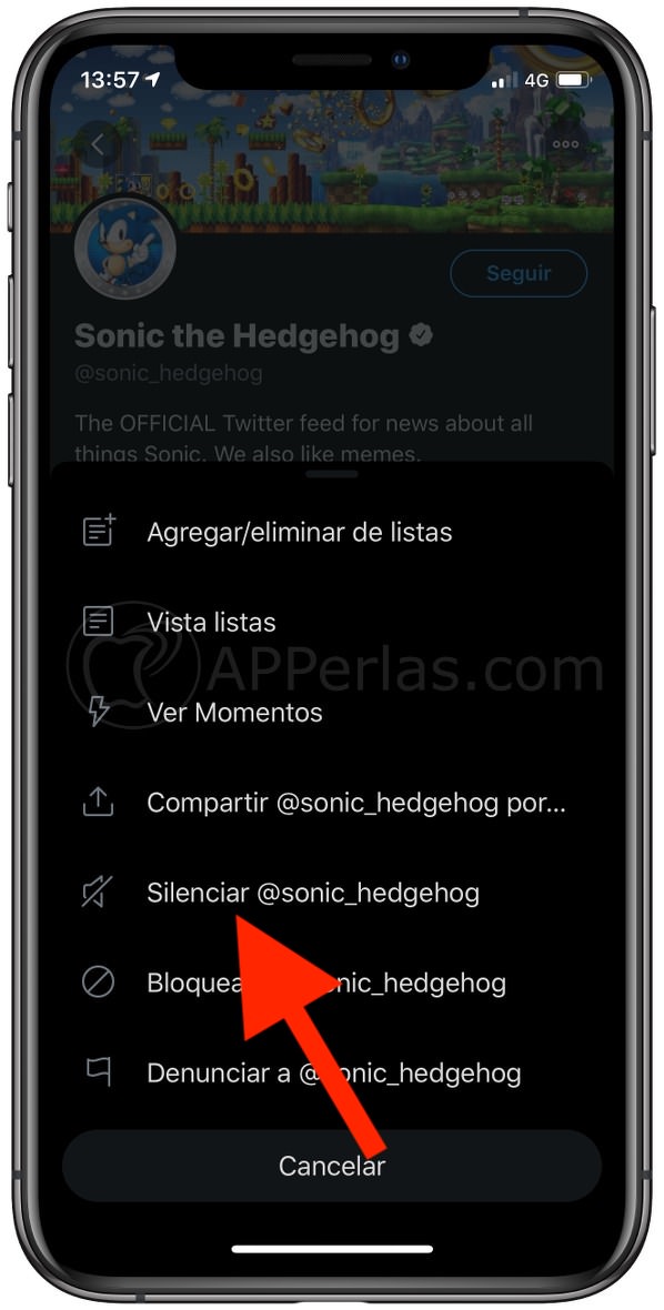 Silenciar cuenta en Twitter Silenciar cuenta en Twitter