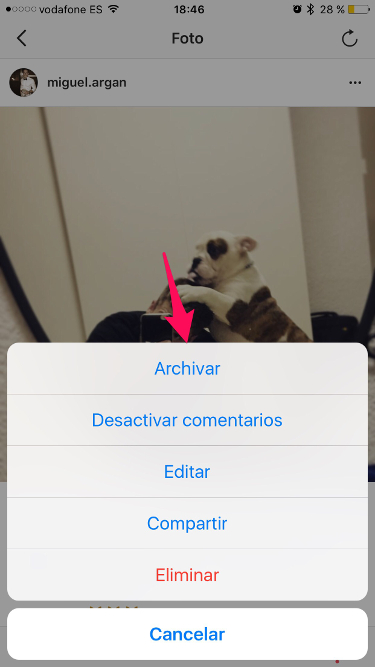 Archivar fotos archivar fotos en Instagram 1