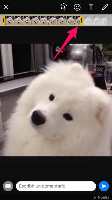 Editar GIF de WhatsApp 1