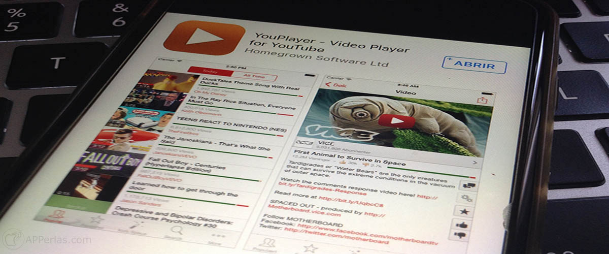 Alternativa a la app de Youtube 1