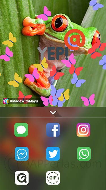 Anima tus fotos 3 Anima tus fotos 3