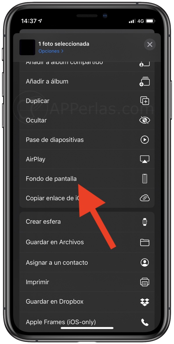 Selecciona la opción "Fondo de pantalla"