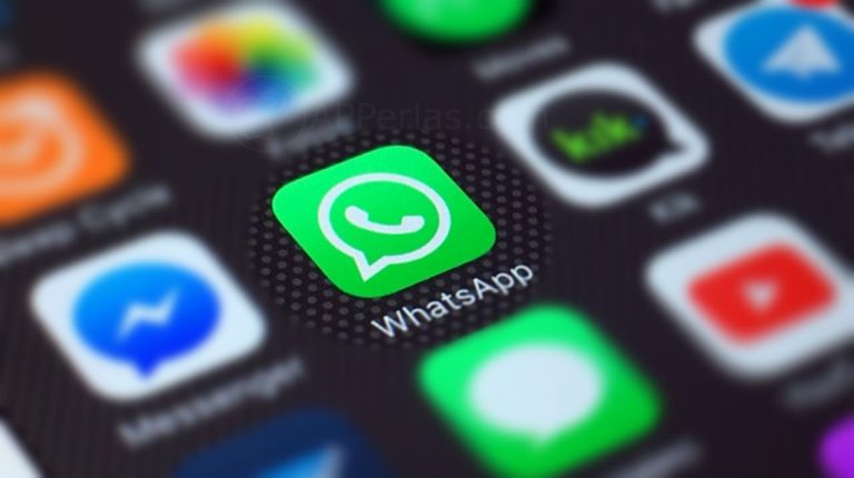WhatsApp beta publica dejará de funcionar permitirá realizar llamadas y videollamadas grupales whatsapp integrará Touch ID face id