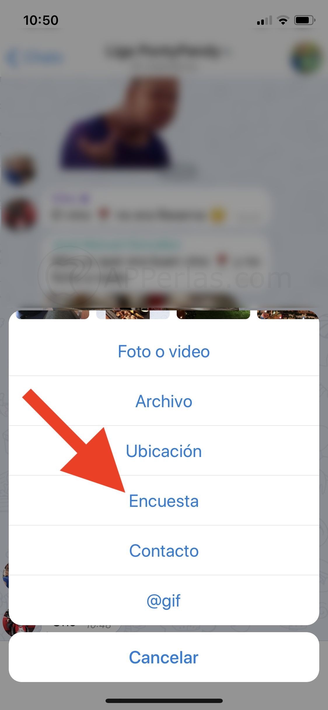 Opción encuestas de Telegram Opción encuestas de Telegram