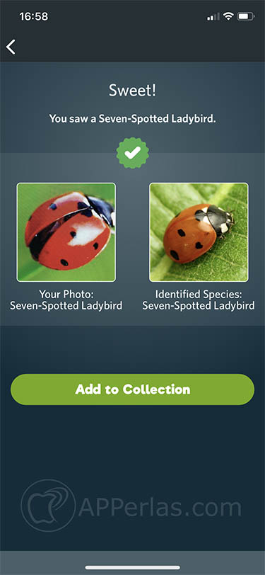 descubrir especies Seek by inaturalist 1