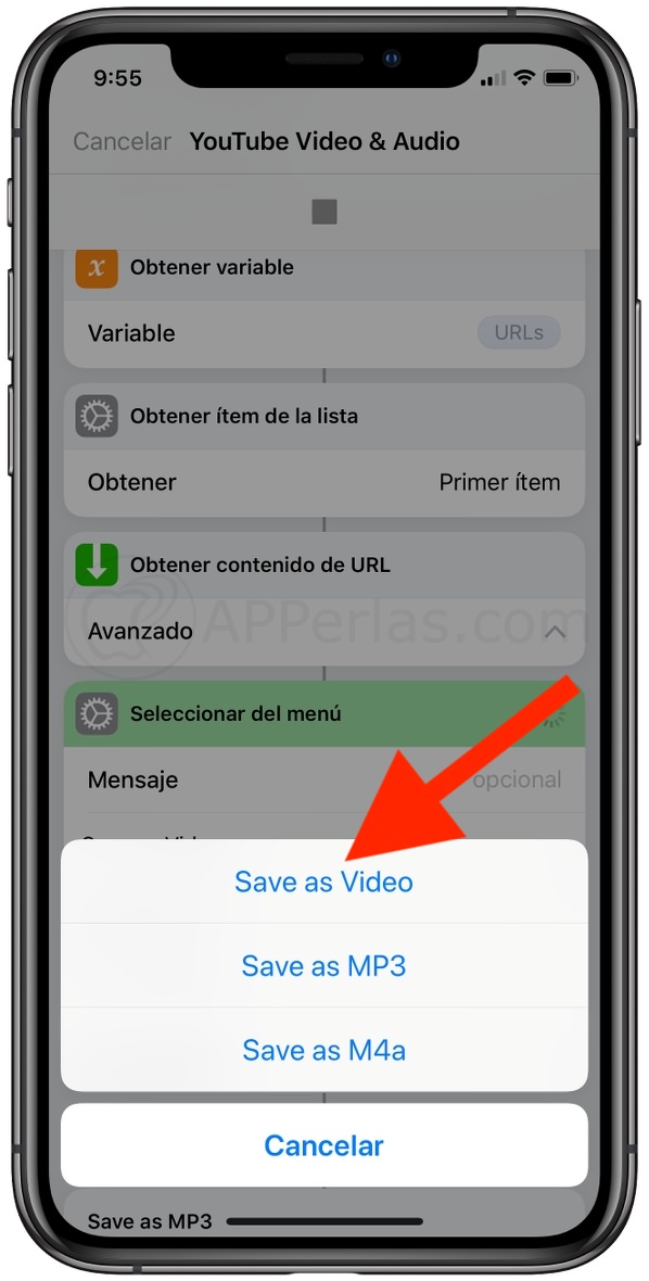Descarga vídeos de Youtube en el iPhone