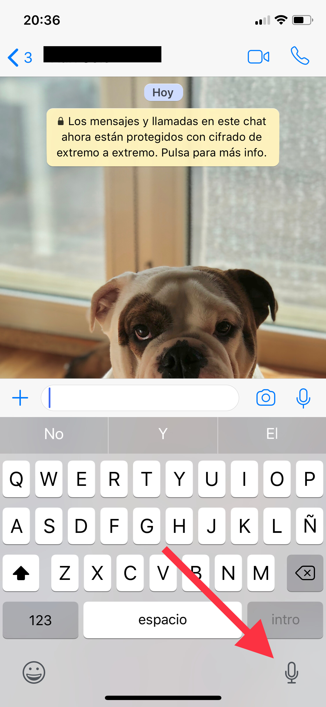 escribir más rápido en WhatsApp 1