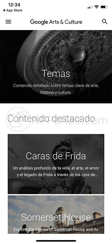 Google Arts & Culture 2 copia