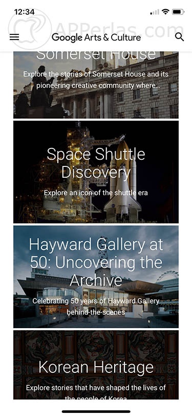 Google Arts & Culture 3 copia