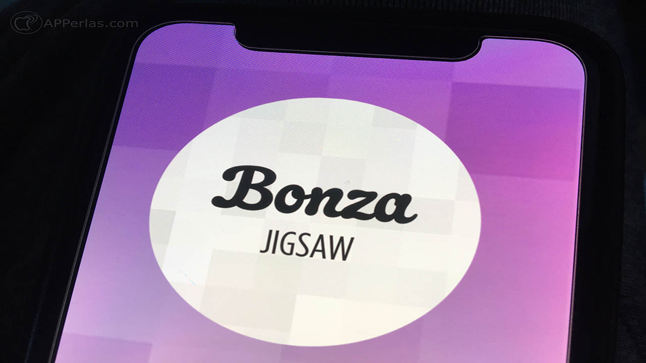 bonza jigsaw puzzles 2