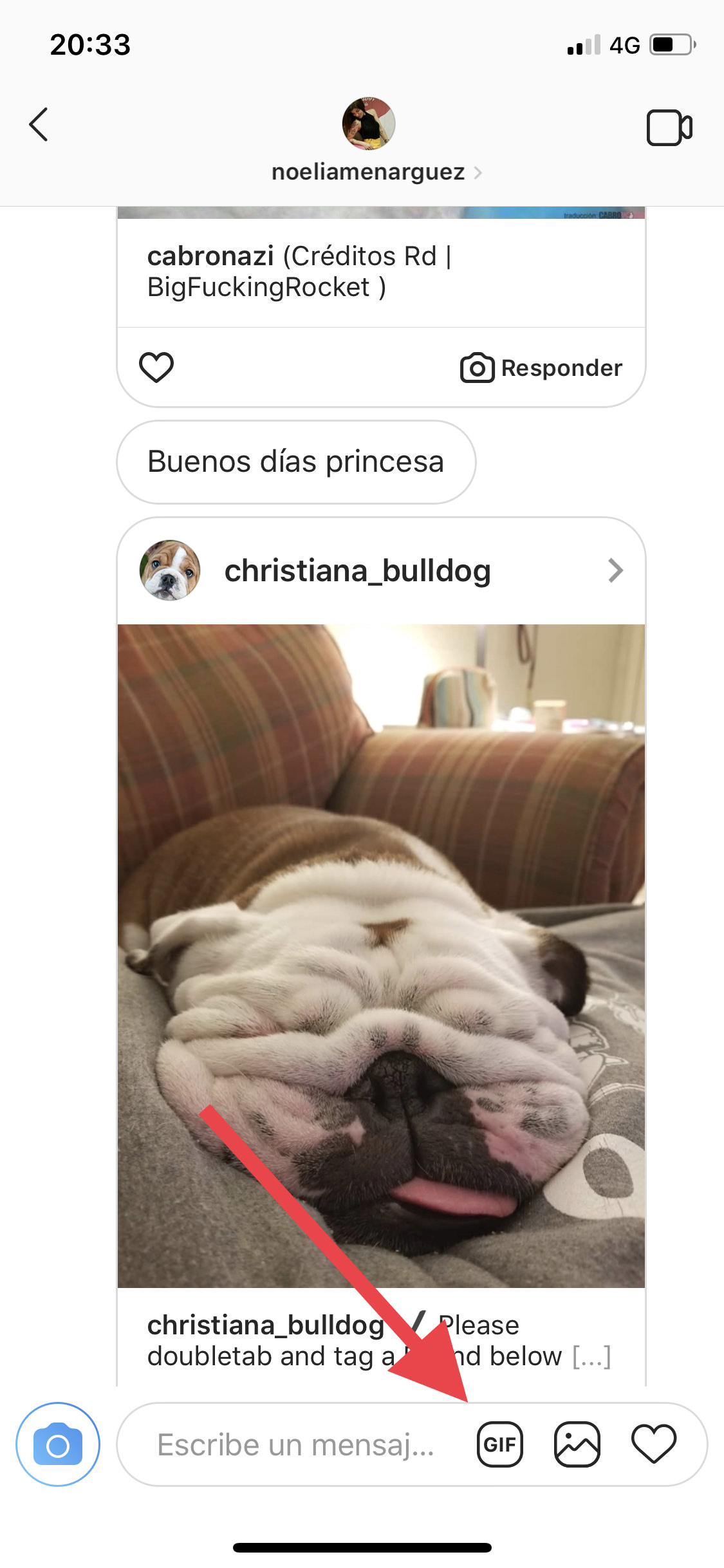 GIF GIF por Instagram 1