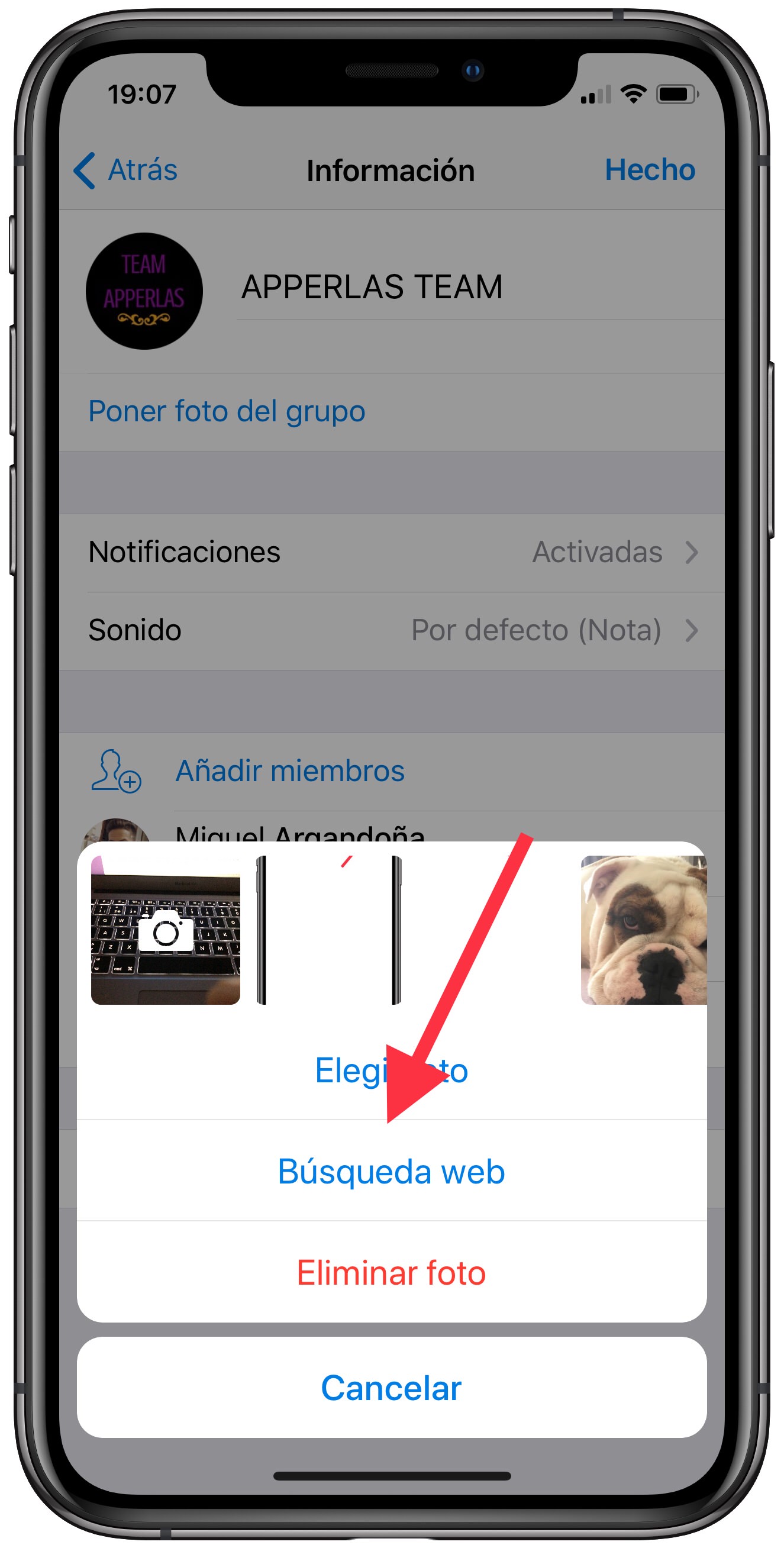 buscar imágenes en Telegram 2