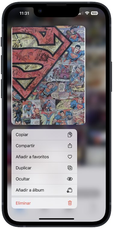 Opción duplicar foto Opción duplicar foto