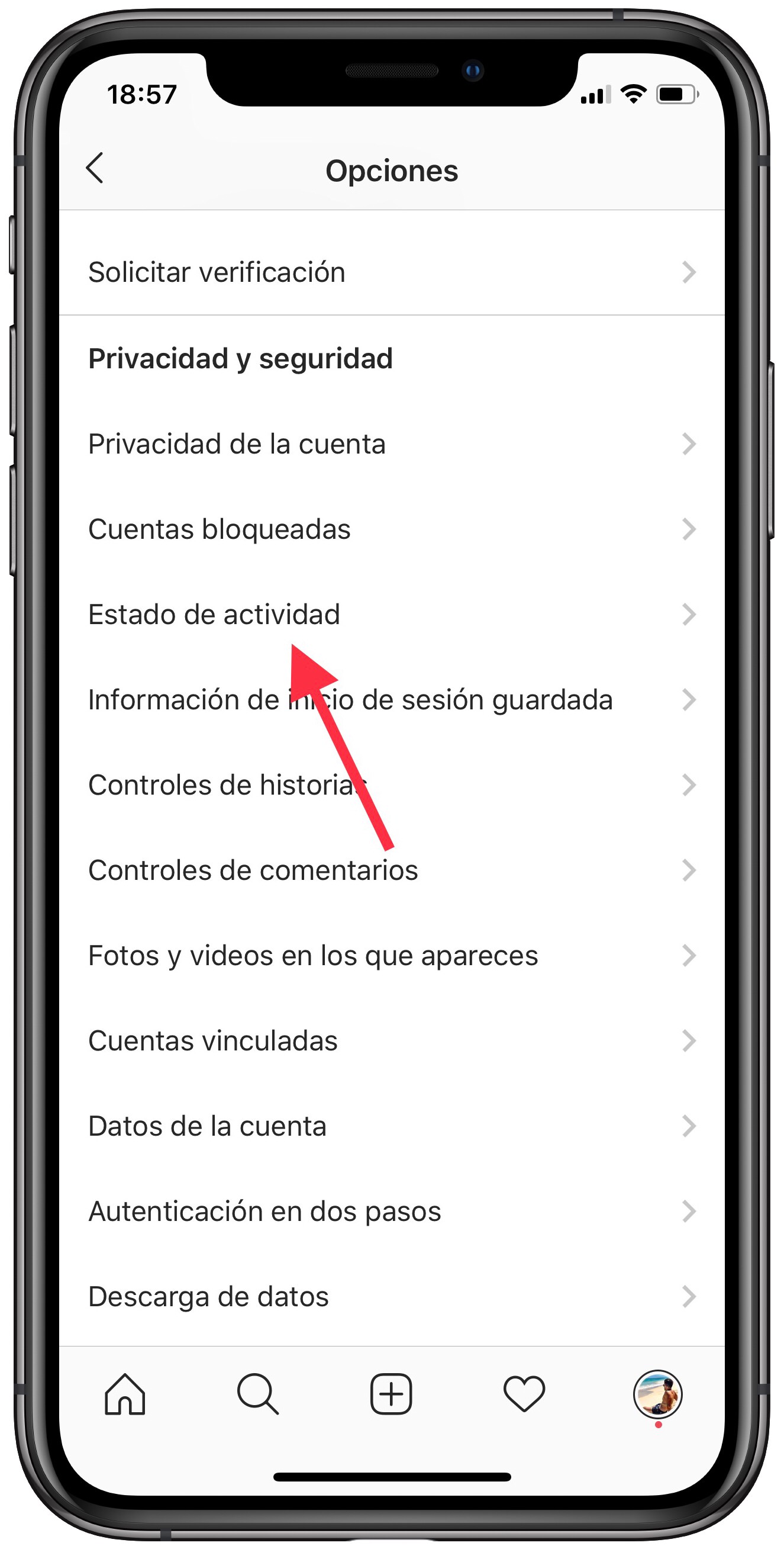 estado la última conexión en Instagram 1