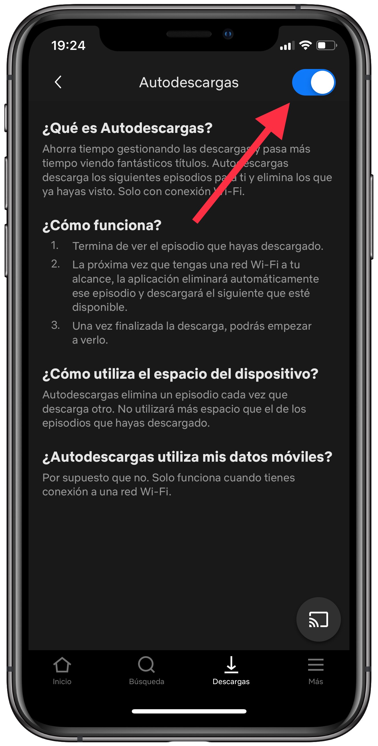 desactivar descargas automáticas de Netflix 2