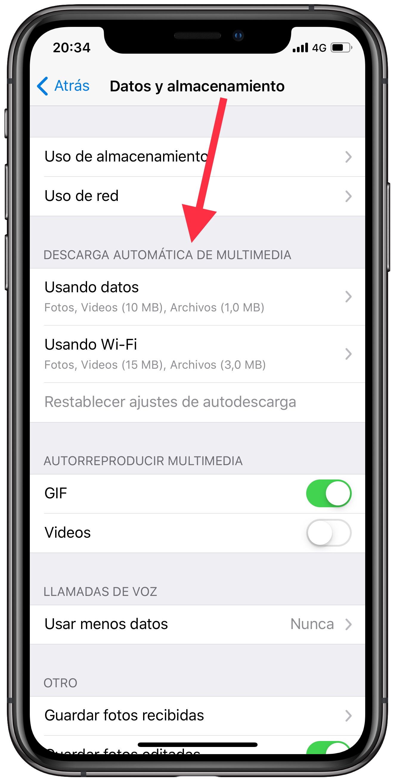 multimedia en Telegram 1