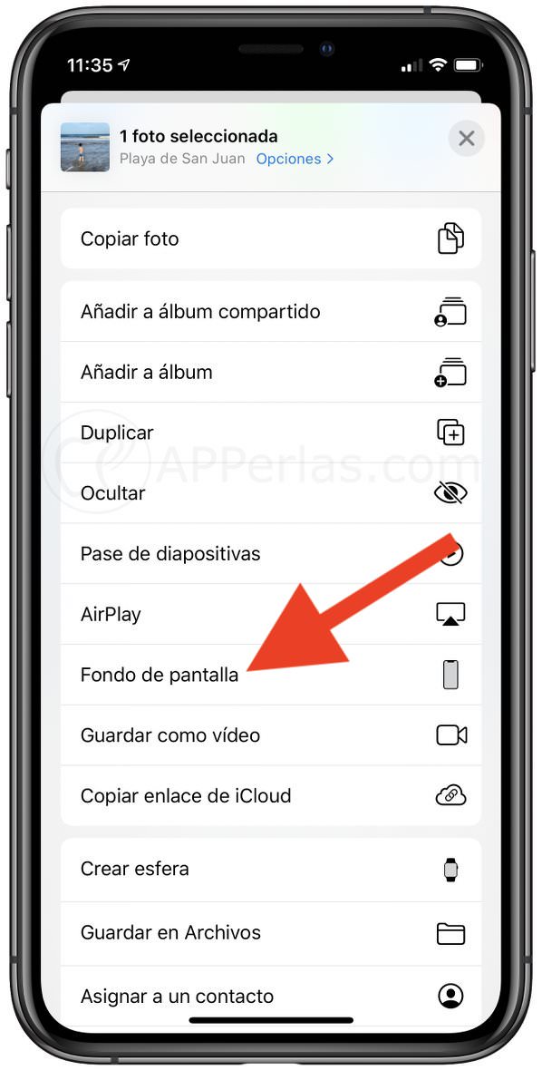 Crea un fondo de pantalla animado desde un Live Photo Crea un fondo de pantalla animado desde un Live Photo